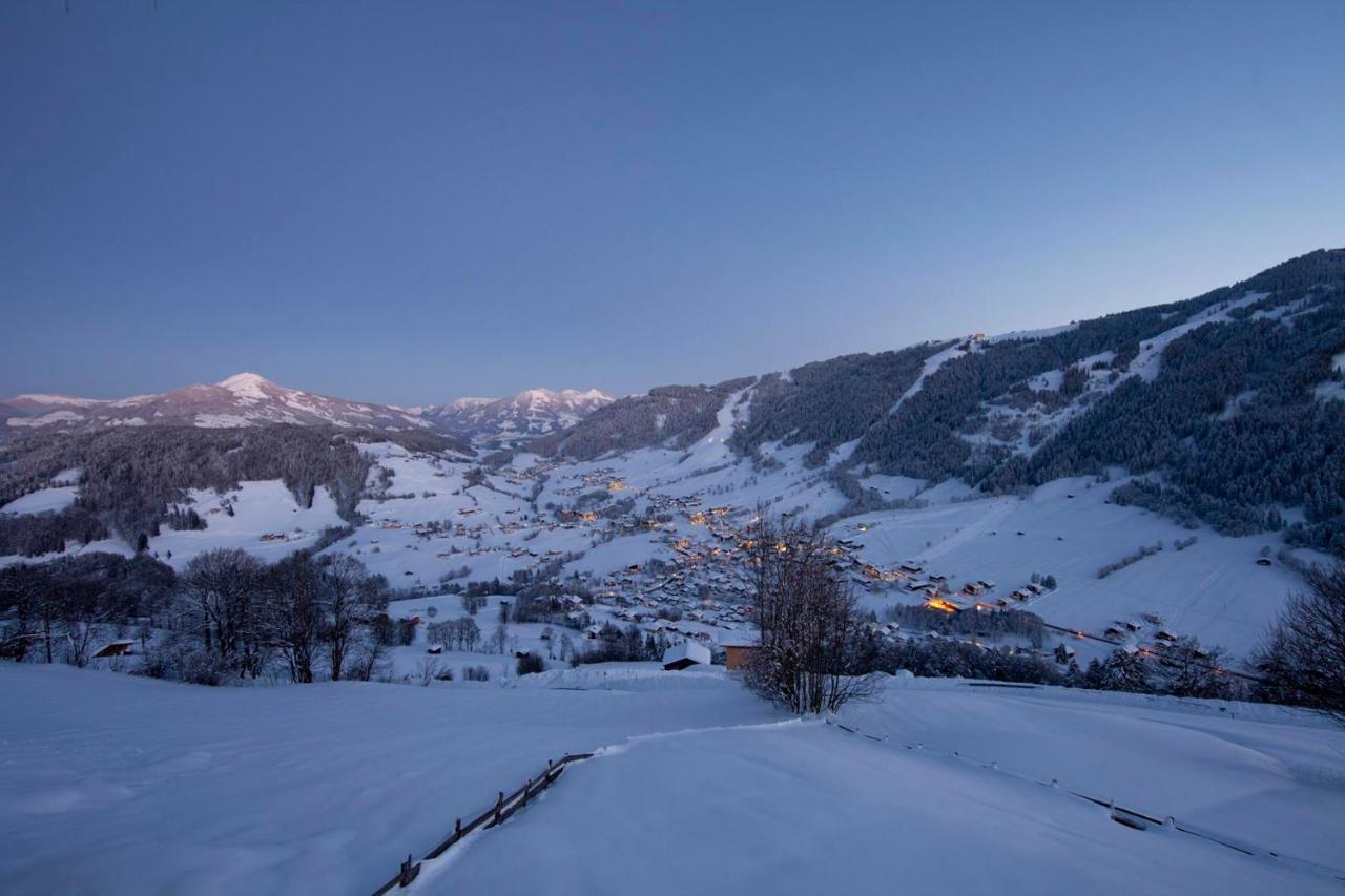 Exklusiv Apartment Sonnenalp Niederau Bagian luar foto